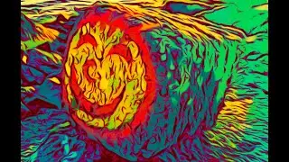 The Liminoid - Sikh and You Shall Find (a Prophet of Dogs Cans) - Take23: (Experimental Techno)