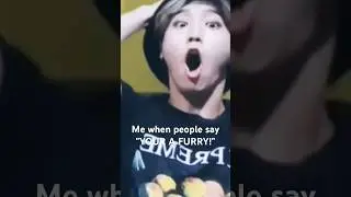 Like I didn't know that! #furry #funnyanimal #foryou #funny #skz #straykids