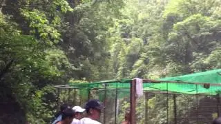 Ditumabo Mother Falls (Baler)
