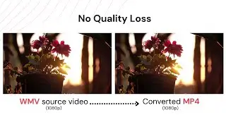 How to Convert WMV to MP4: Easy & Quick Ways for PC/Mac