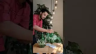 Wine bottle lamps #diylamps #sustainableliving #shorts