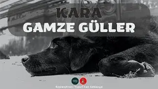 Öykü | Gamze Güller - Kara