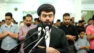 Sura Al Mulk Peshawa qadr al kurdi پيشةوا قــادر الكردى الملك