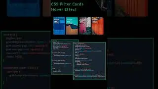 css filter card hover effects || html || animation 