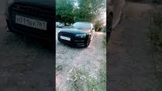 Что там за кустами
