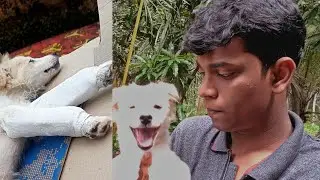 ജിമ്പ്രൂട്ടന് എന്ത് പറ്റി?|🤕😕|MALAYALIS STUDIO