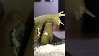 Romantic dinner 🐌🐌🥂💕