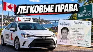 Как получить канадские права на легковую машину