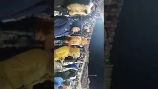 ديما معاها .... الافريقي تعيش