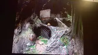 ЮзГриша Майн прохождение игры samorost 1