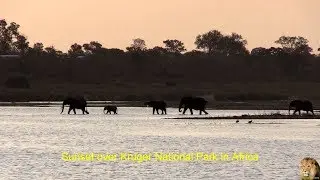 On Safari In Africa - Kruger National Park In December