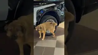 Все что надо знать о Китайских авто ))) #автоизкитая #китай #китайскийавтомобиль #китайскийавто