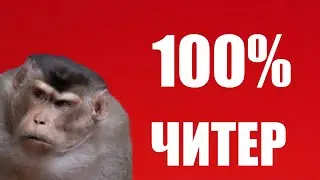 100% ДОКАЗАТЕЛЬСТВО ТОГО, ЧТО FELAFEL ЧИТЕР В WARZONE 2 RANKED!