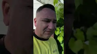 Когда отключили свет