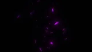 Vortex Particle Overlay ( for editing )