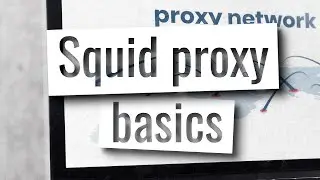Squid proxy server - Installation and how to allow access and block websites