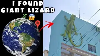 I Found Giant Lizard 🦎 On Google Earth