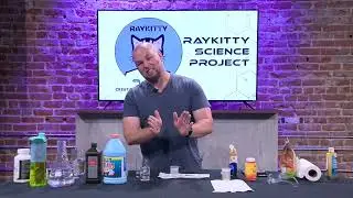 Ray Kitty Science Project S1E25