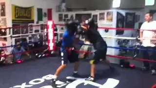 Bebe sparring