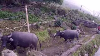 A trip to Vietnam