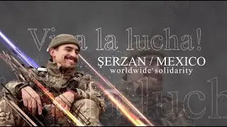 Meet The Internationals - Web Series - Trailer