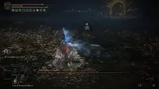 Malenia - Blade of Miquella - Boss Fight