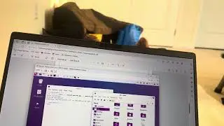 Steghide kali linux