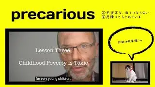 英検1級【過去問】700単語 Precarious