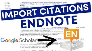 Import References From Google Scholar into Endnote: How to import PDFs and Citations into Endnote