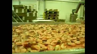 Линия глазирования креветки