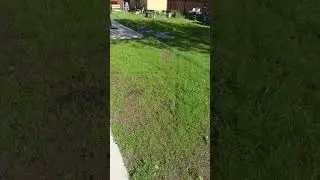 газон на георешетке