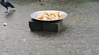 আজকে আর তেমন কেউ আসেনি ।