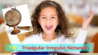What is TIN | Triangular Irregular Networks (TIN) | TIN Vs GRID