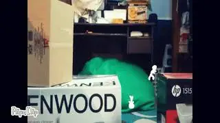 Stickman in real life! || Made with FlipaClip