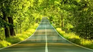 10 fastest things on earth !!
