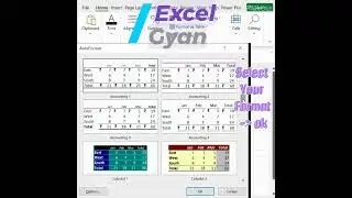 Excel Tricks| advance excel |Auto format table| auto formatting |excel tips & tricks @excel_graduate