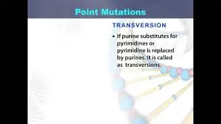 Point mutations