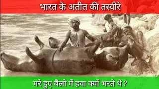 प्राचीन भारत / Ancient India / KVWiki
