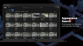 How IREX Searchveillance™ Helps Cities to Be Safer and More Efficient