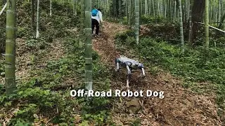Off-Road Robot Dog