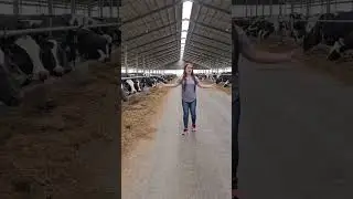 #newzealand