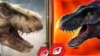 Tyrannosaur Doe vs Mortem Rex