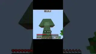 what if you grow a tree on the max build height #minecraft #shorts #Minecraftshorts