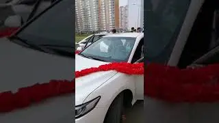 Туй точикон дар москва