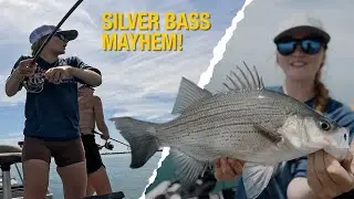 Jerkbait Fishing for Schooled up Silver Bass #girlswhofish