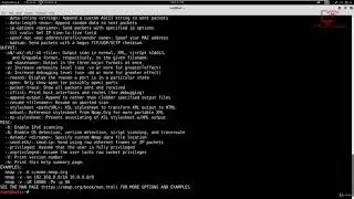 [Penetration Testing]  Nmap UDP Scan