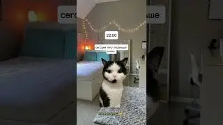 Как проходит ваш день?💥 #мем#жиза#школа#мемнынкоты#врек#рекомендации#глобальныерекомендации#котики