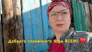 Всем доброе Утро 🌄 Жизнь в деревне. Накормили цыплят.