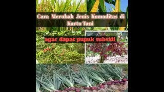 cara mengganti komoditas di kartu tani//pupuk kartu tani