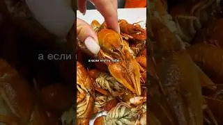 Ешь всё, что ты хочешь 